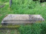 image of grave number 485997